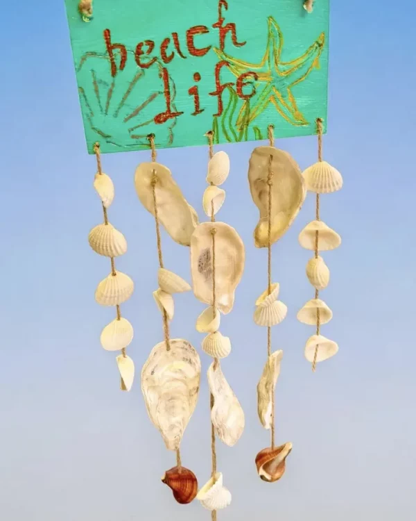 The Truth of Beach Life
